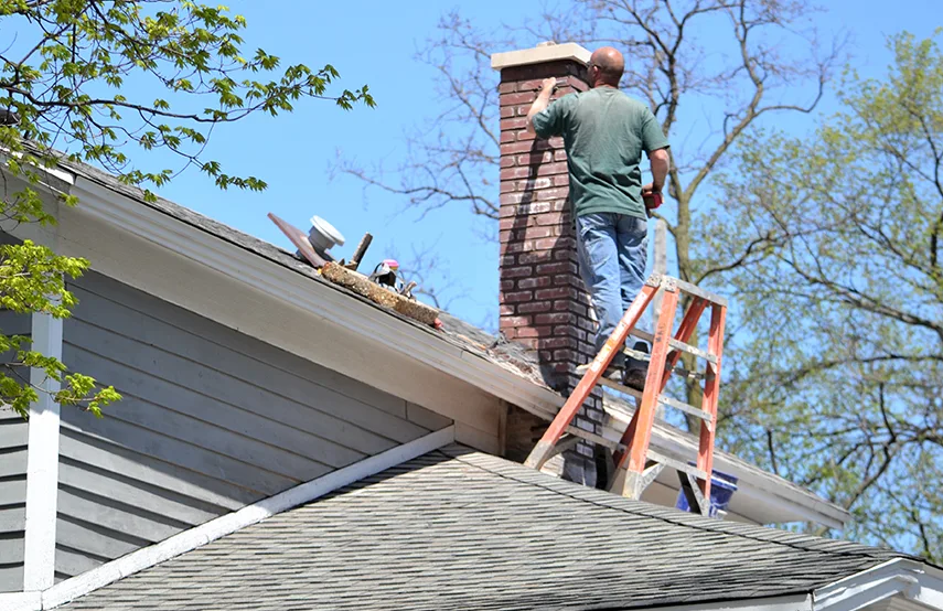 Chimney & Fireplace Inspections Services in Middle River, MD